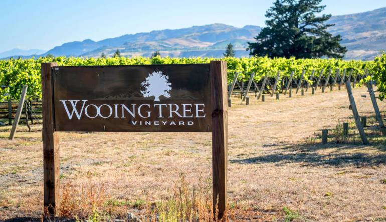 Wooing Tree Vineyard