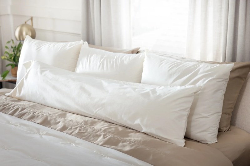 Wool Pillows Wool Filled Pillows Pillow World - Colorful Photos - Premium 8K Collection