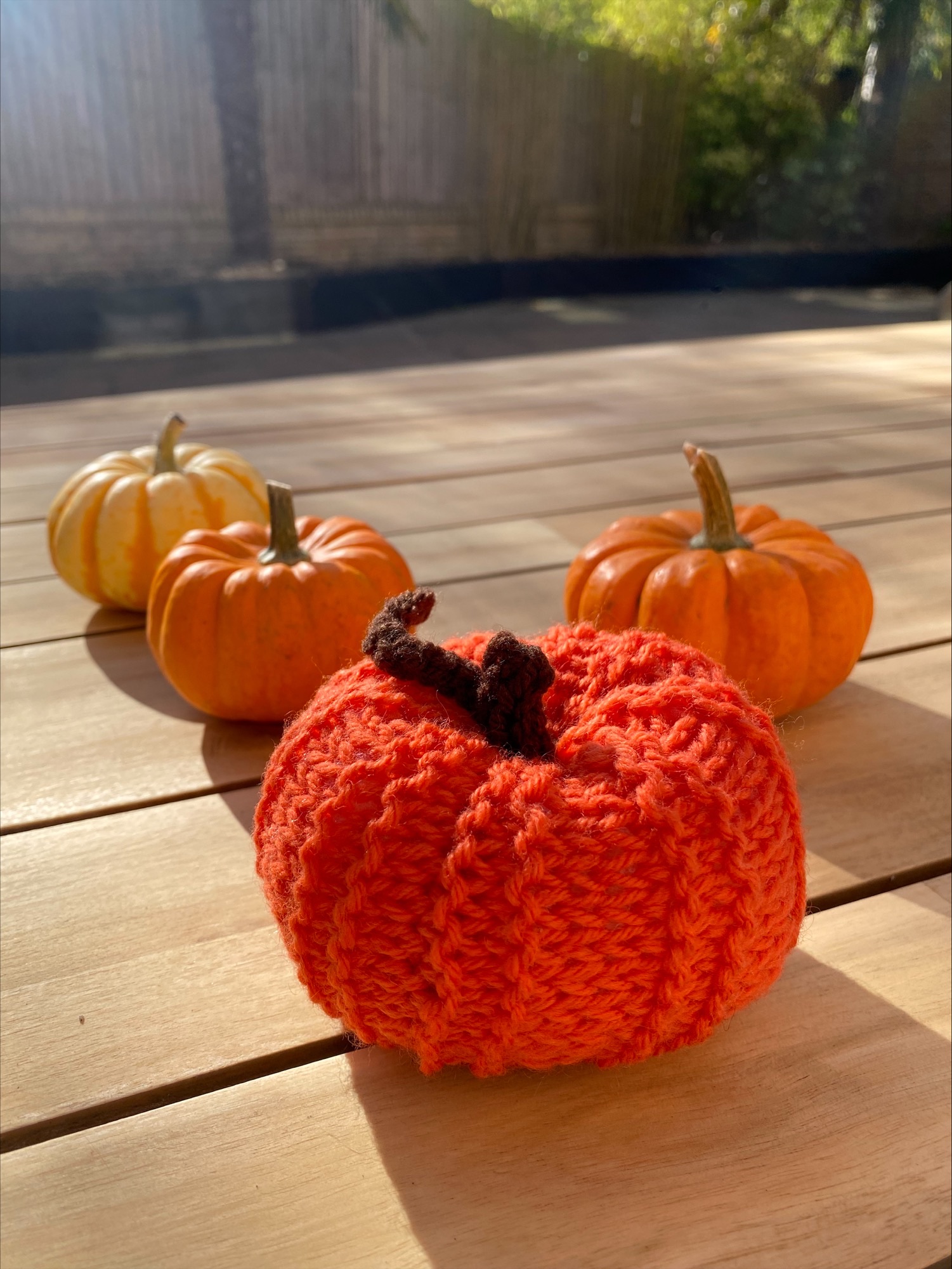Learn to Knit- Pumpkin Workshop