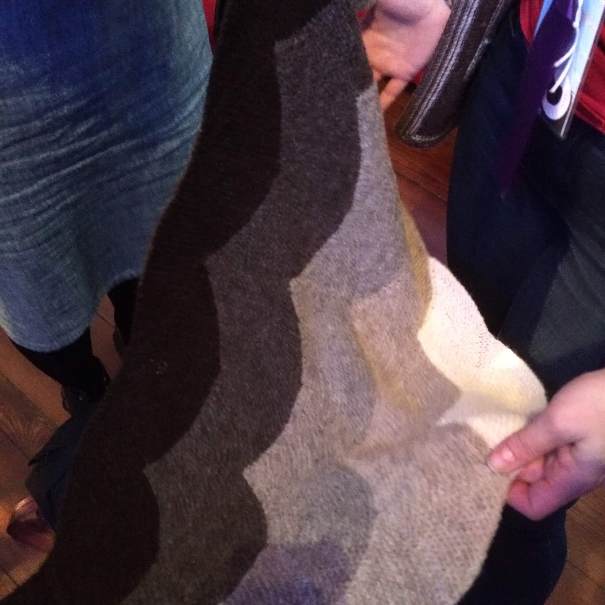 The Ellipsissy's incredible aranami