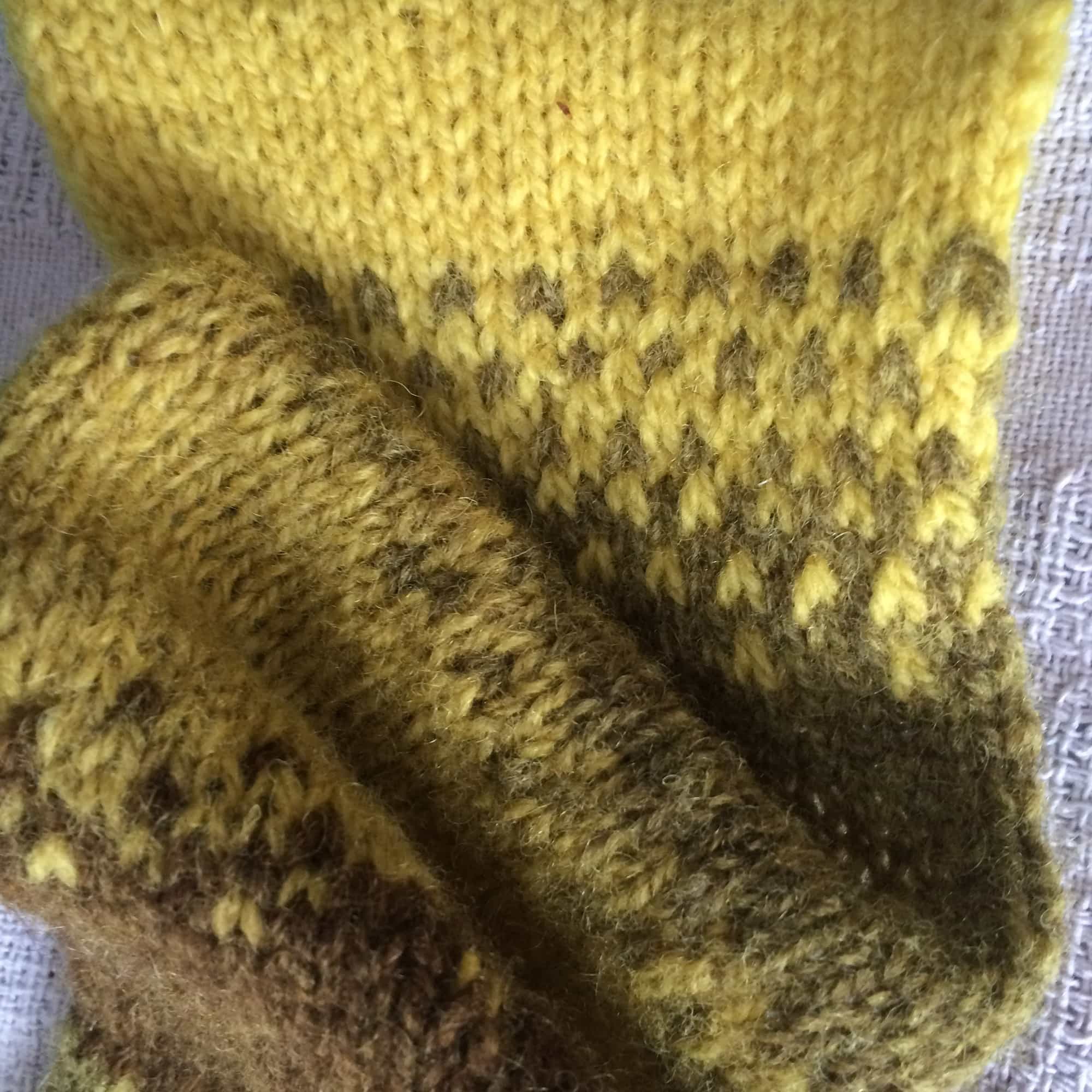 Sylvan Tiger Shetland