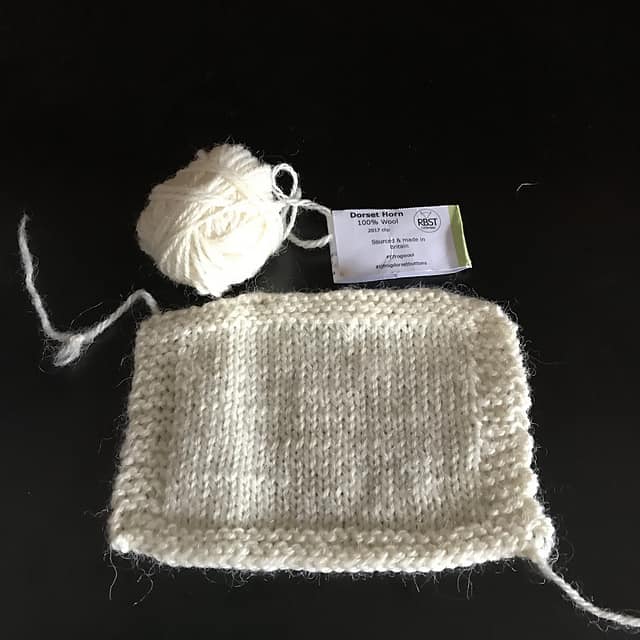 © SilverSpringKnit Dorset Horn