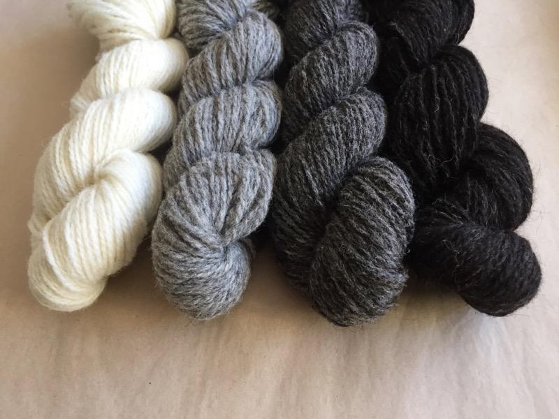 Ram Jam from (c) Daughter of a Shepherd