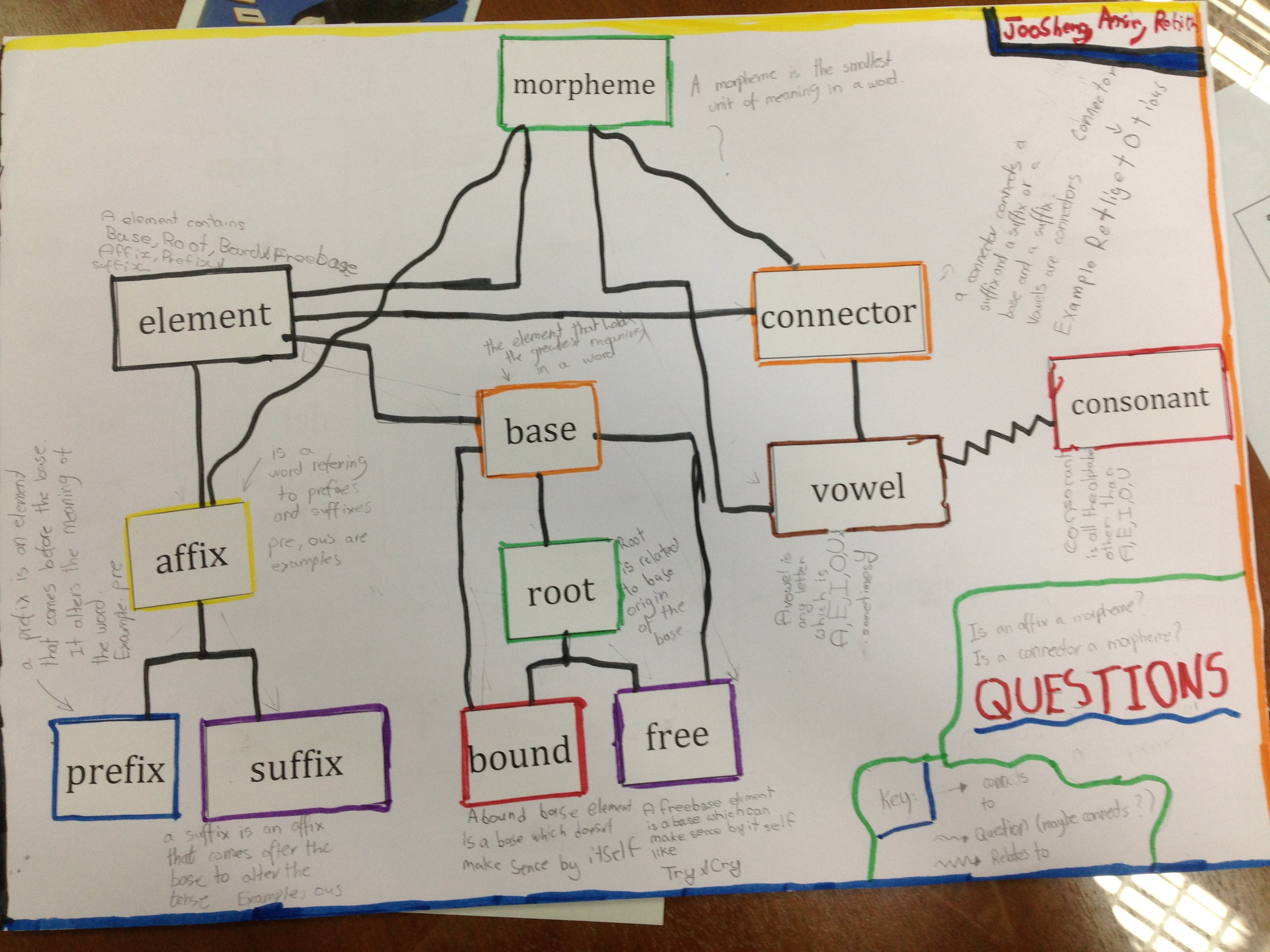 Showing relationships and understandings of morphological terms