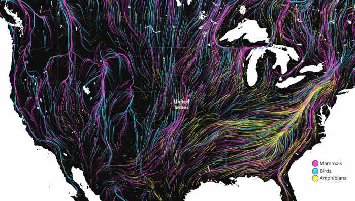 Migrations In Motion interactive map 2