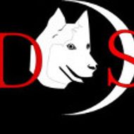 Wordpress Develop Site