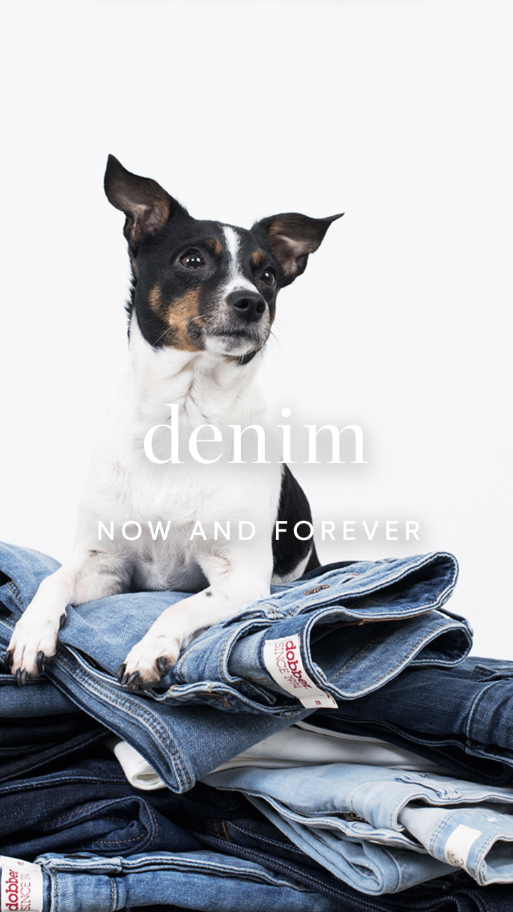 A pile of folded up jeans and a small dog sitting on top