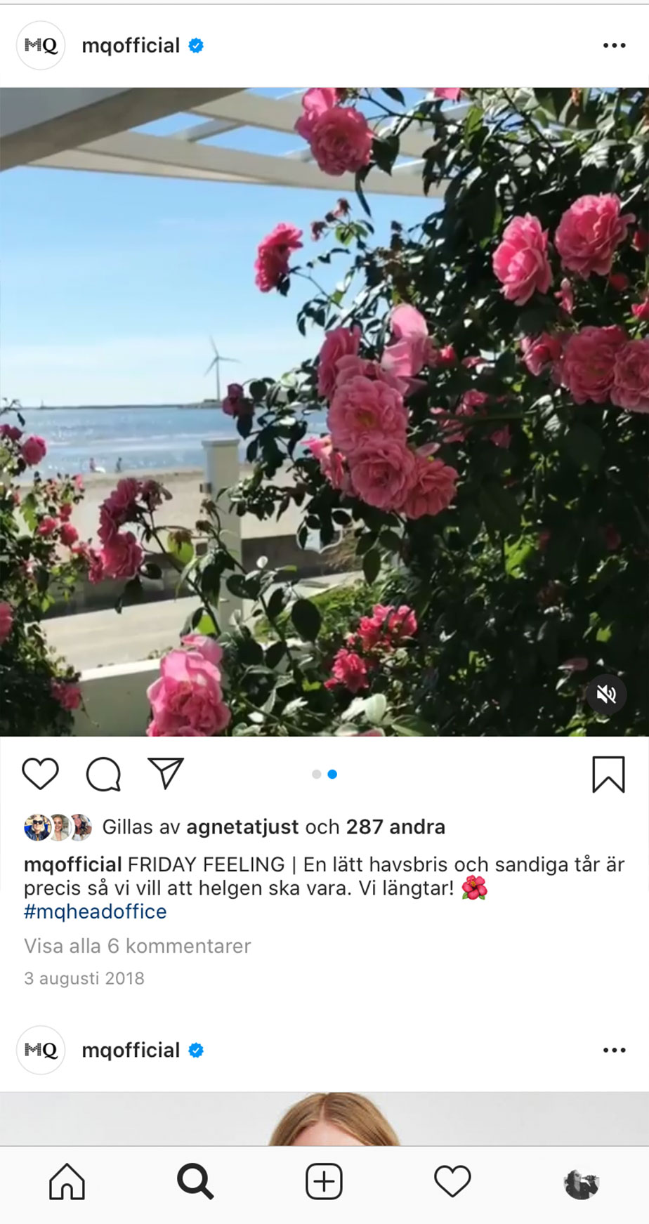 Instagram post of a rose bush with the ocean in the background