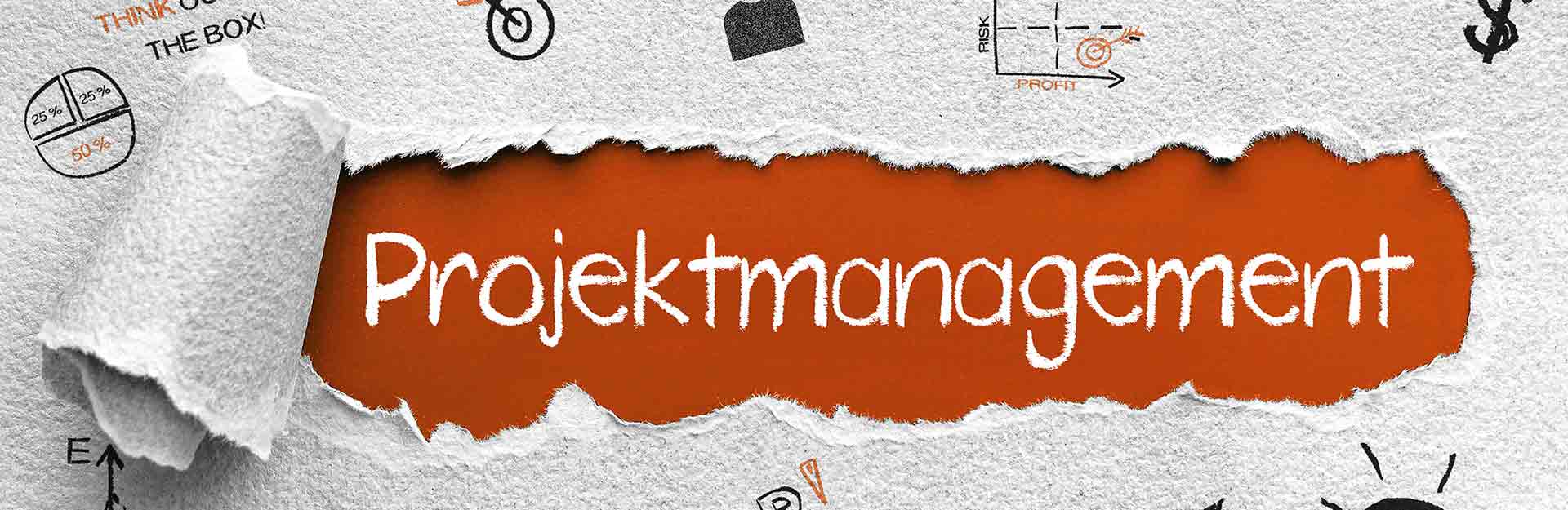Web-Complett IT-Projektmanagement