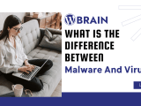 What Is The Difference Between Malware And Virus Explained