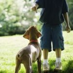 Boy holding treat for waiting dog