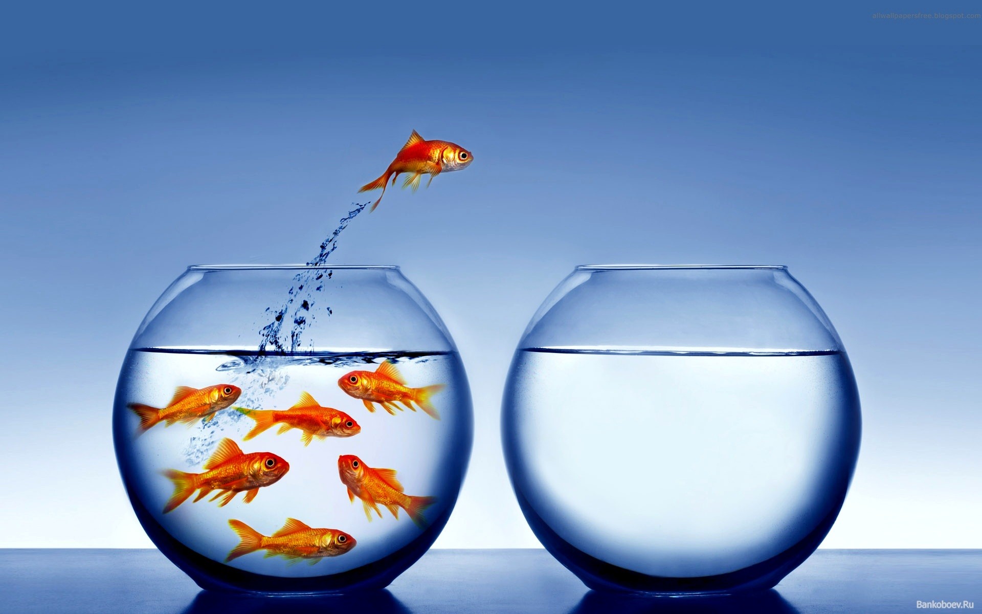 Come migrare WordPress