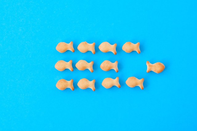 A change in direction can lead to a whole new life.