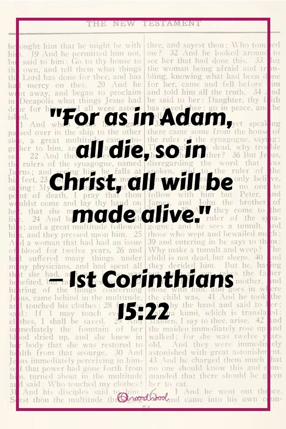 Cover Image of the Post