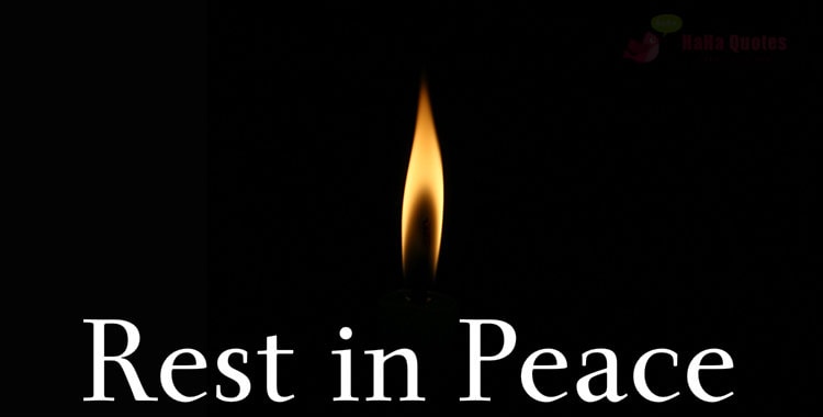 RESTLESS GOOKS - REST IN PEACE コア系 COGTHEBIGSMOKE（コグ ザ ビッグスモーク） 接触冷感 ツーウェイ