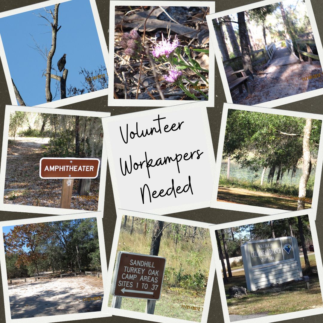 Get Florida State Park Workamper Experience at Goldhead State Park