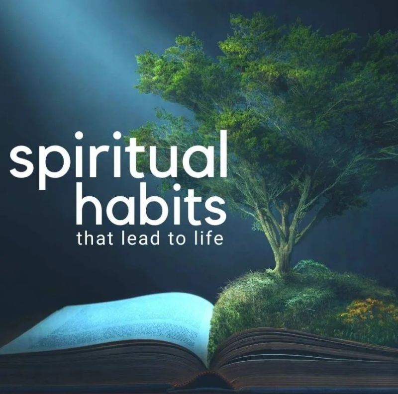 Cultivate Habits For Spiritual Growth - Abstract Pictures - Creative HD Collection