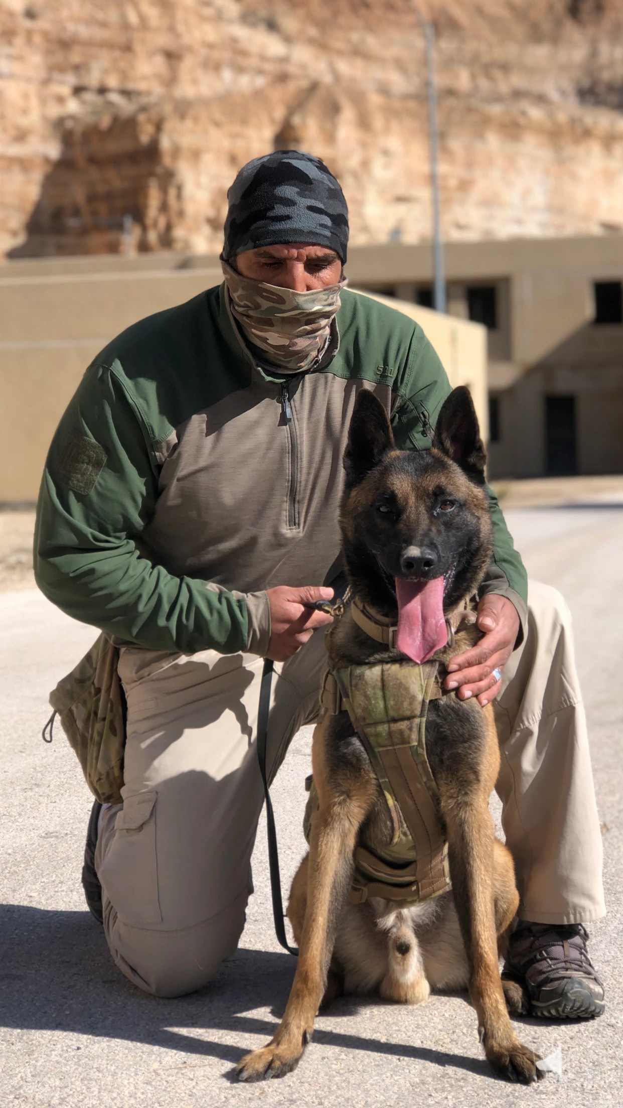 WDC K9 desert