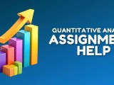 Online Quantitative Analysis Assignment Help In The Uk