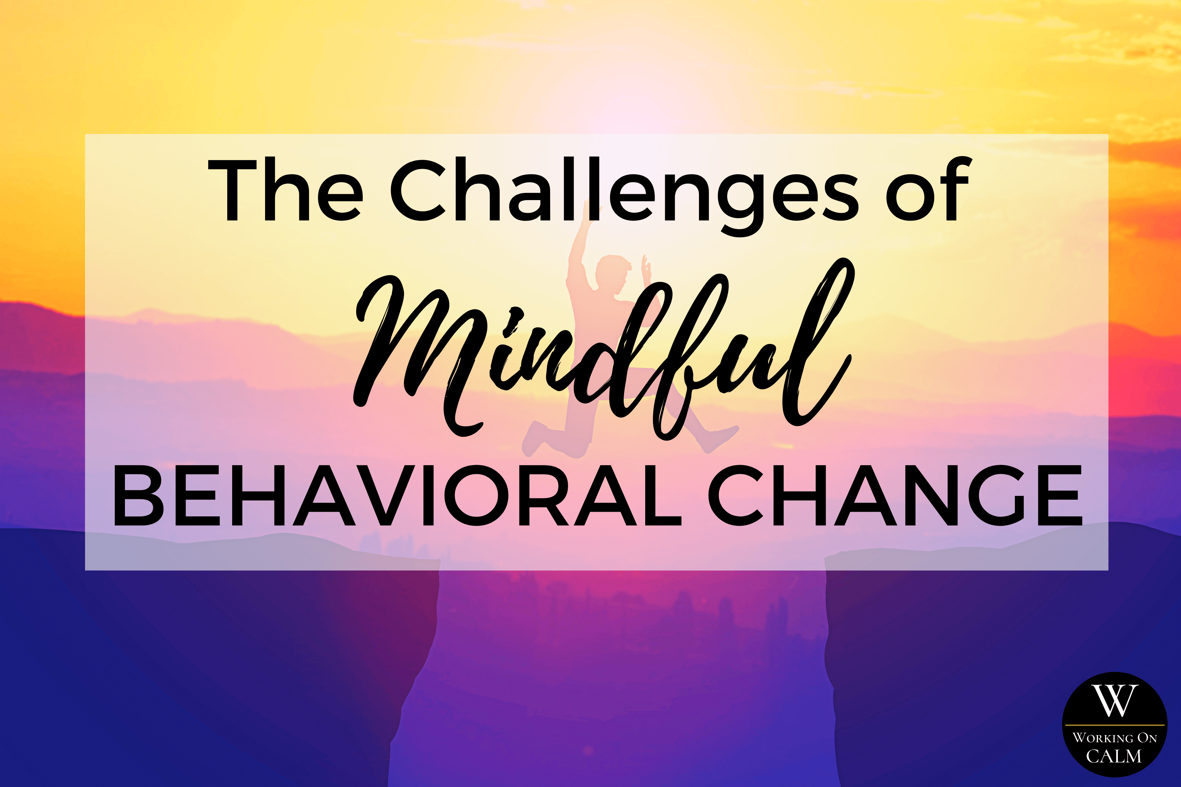 The Challenges of Mindful Behavioral Change