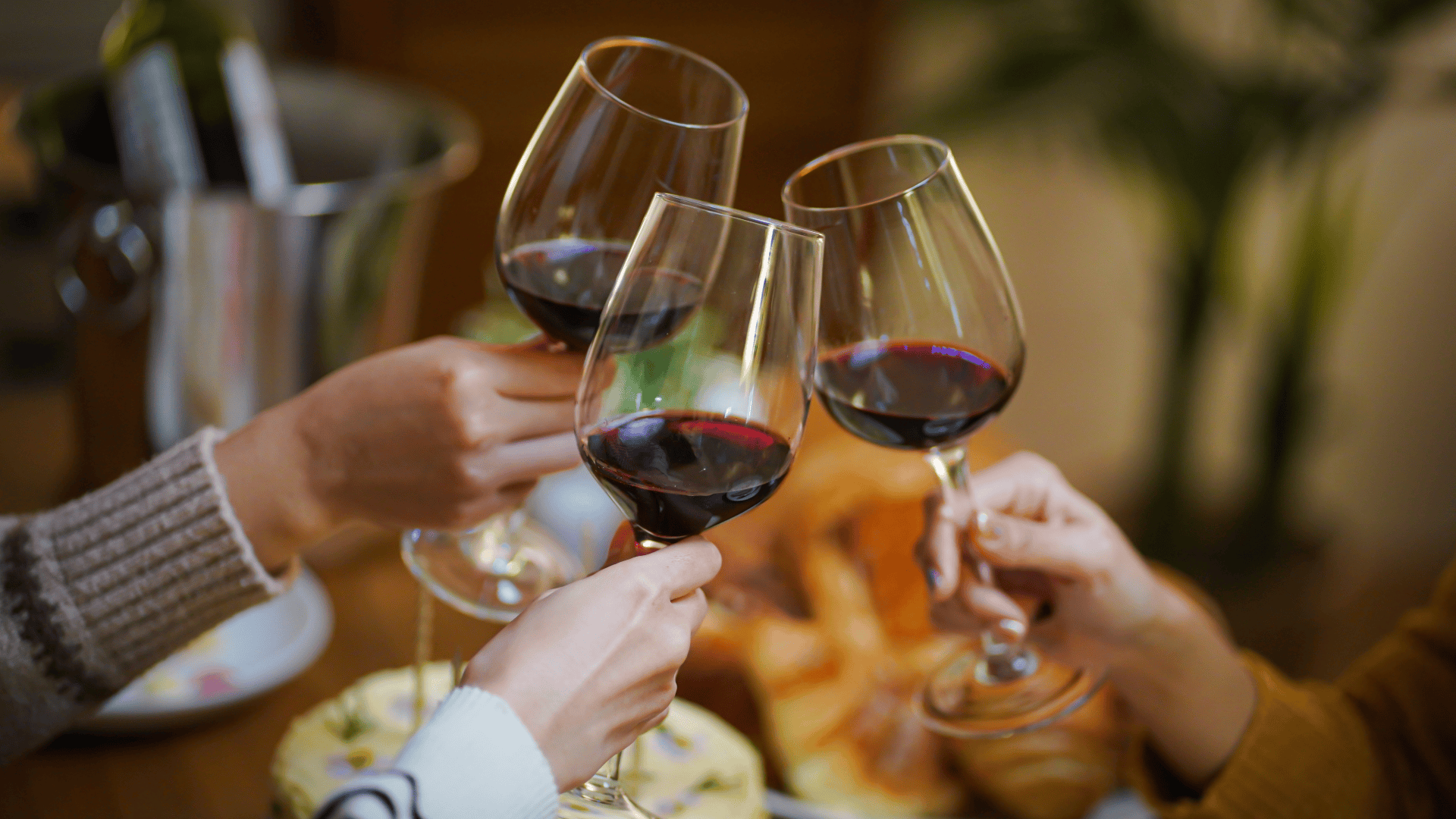 Red Wine Holidays