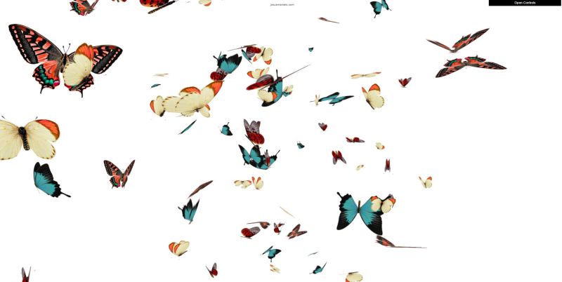 The Butterfly Effect Softat - Retina Space Designs for Desktop