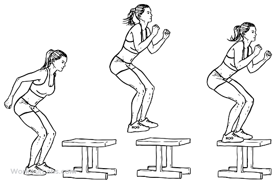 30+ Elegant Plyometric Bench Press - High Box Jumps | WorkoutLabs : The decline bench press is an excellent exercise for strengthening your lowe. 30+ Elegant Plyometric Bench Press - High Box Jumps | WorkoutLabs : The decline bench press is an excellent exercise for strengthening your lowe.