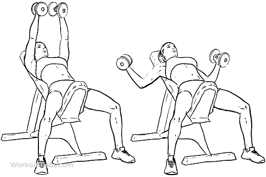 36+ Elegant Flat Db Bench / Barbell Hip Thrust: How to Do It (The Right Way) | Yuri Elkaim / Strengthen your chest with dumbbell presses on a flat bench.