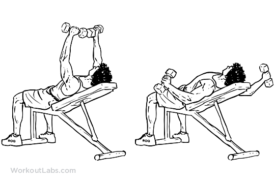 Flat db flies allow you to target your pecs/chest more, and allow you to use a little more weight for a certain number of reps · incline db flies target the . Incline Bench Dumbbell Flyes | WorkoutLabs