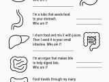 Digestive System Riddles Worksheet Download Print Now