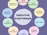Executive Function Disorder What Is It And Can It Be Treated