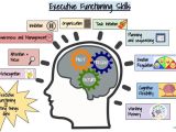 Executive Functioning 101 Worksheets Library