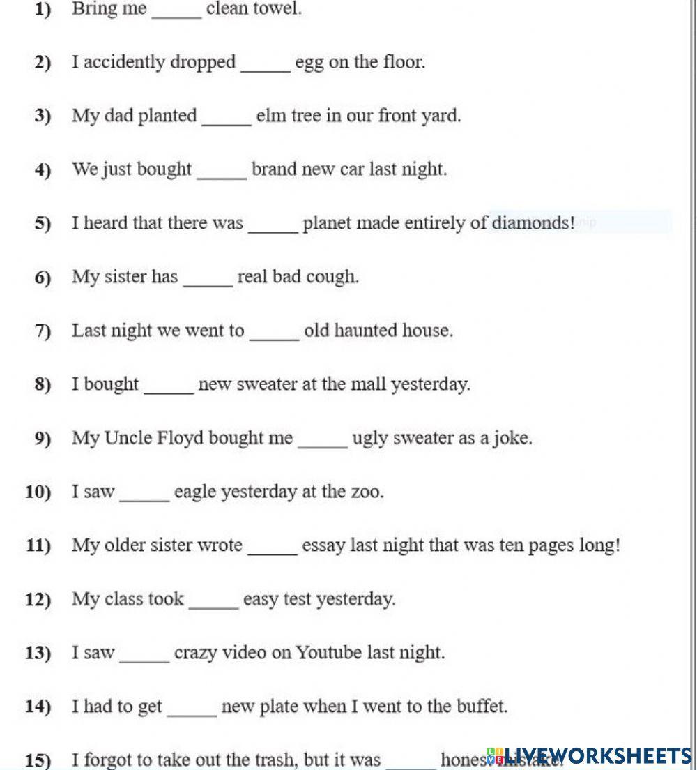 Using a or an worksheet