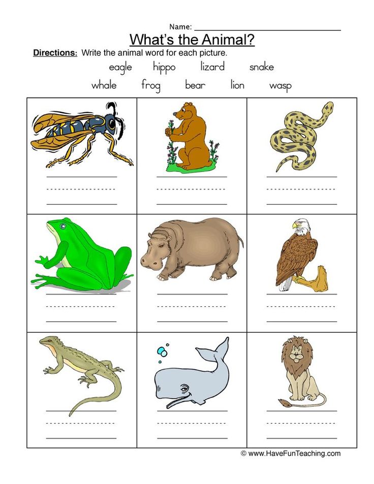 Labeling animal names worksheets