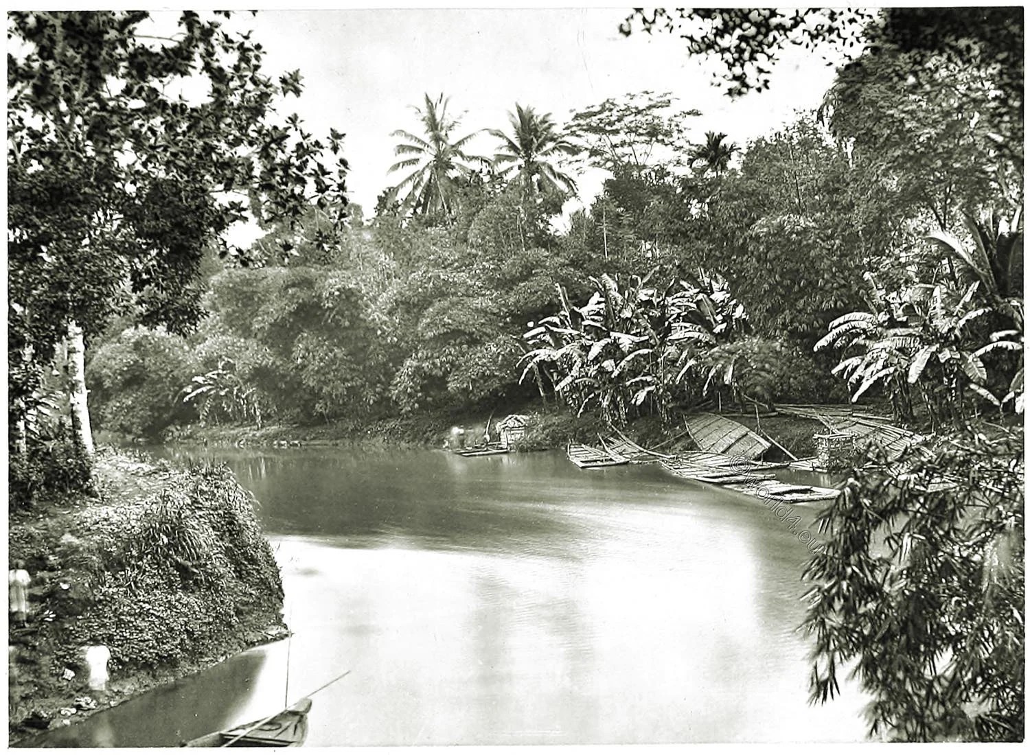 Java, Tropical, river, vegetation