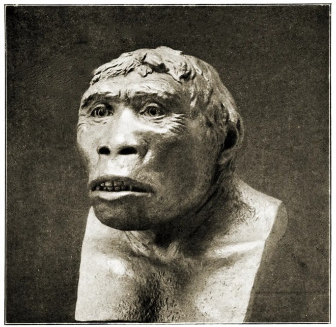 Java Man, Ape-man, Pre Historic man,