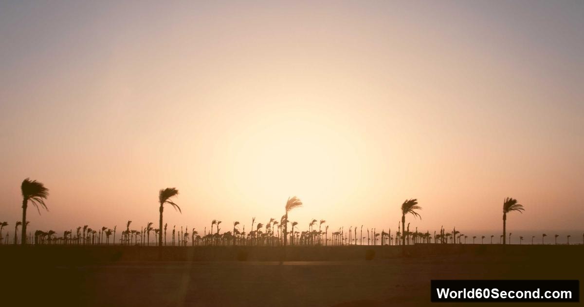 مستخلص الشاي الأخضر EGCG: محرك الأيض وحرق الدهون الطبيعي