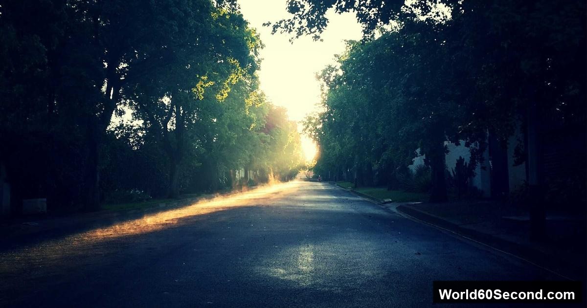 علاج الإكزيما طبيعيًا بالأعشاب
