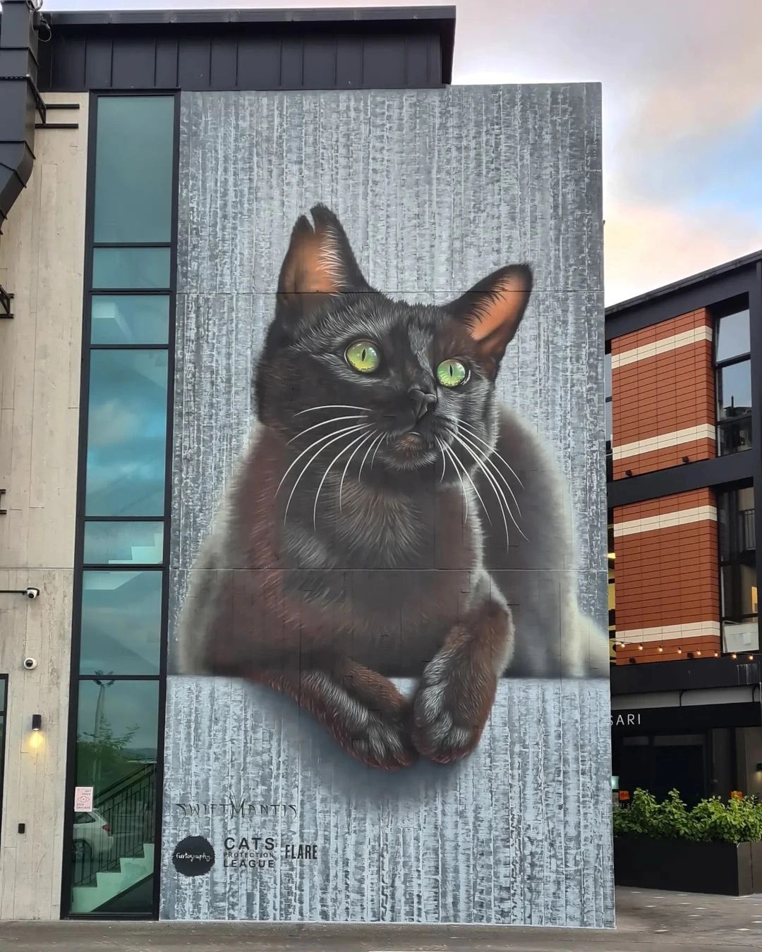 A giant mural of a black cat with green eyes and her paws over a painted ledge, covering the side of a building in Christchurch, New Zealand.