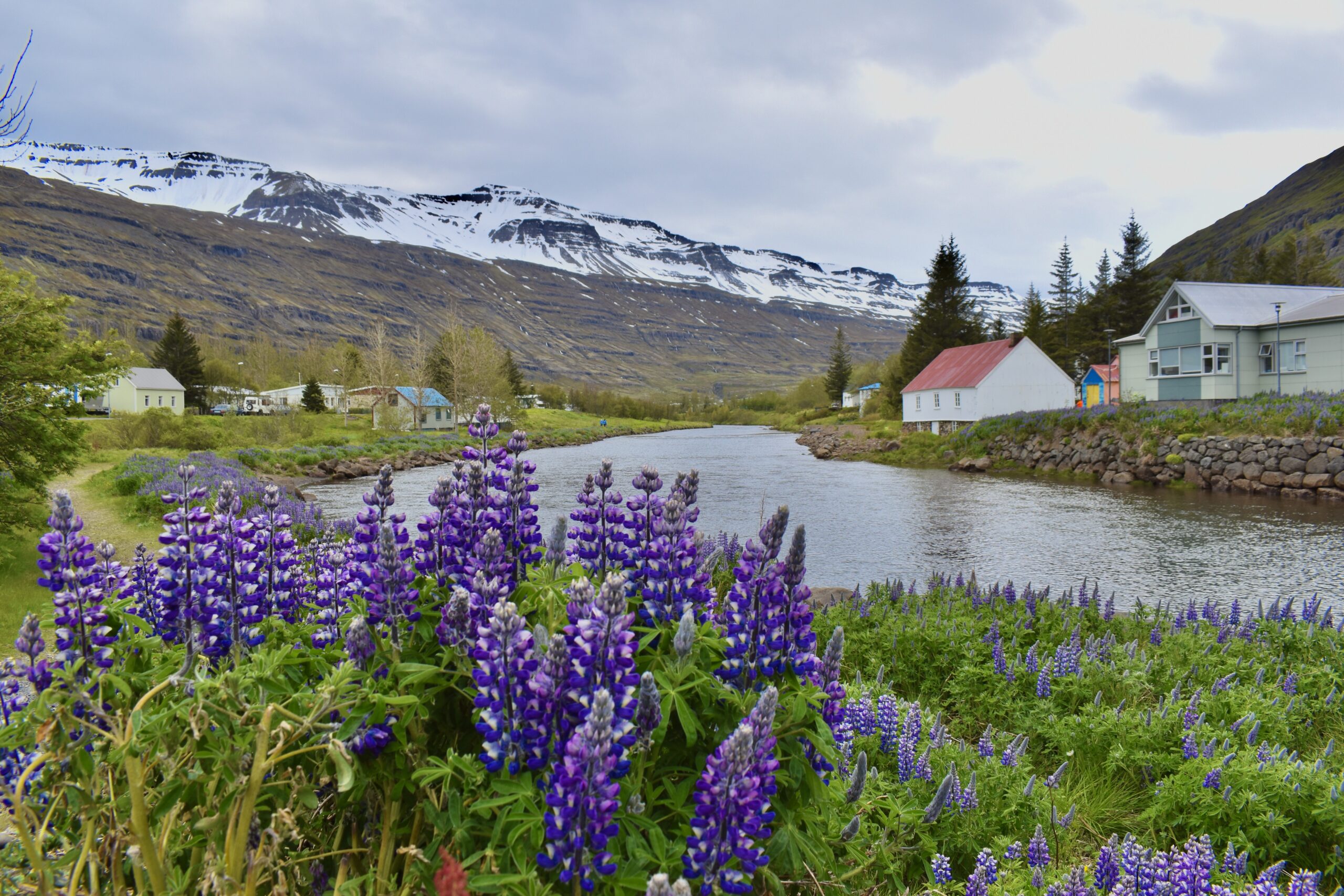 Iceland in the summer