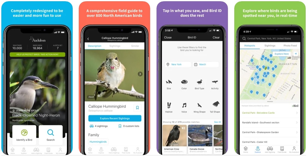 Las 15 mejores aplicaciones de observación de aves para descargar hoy