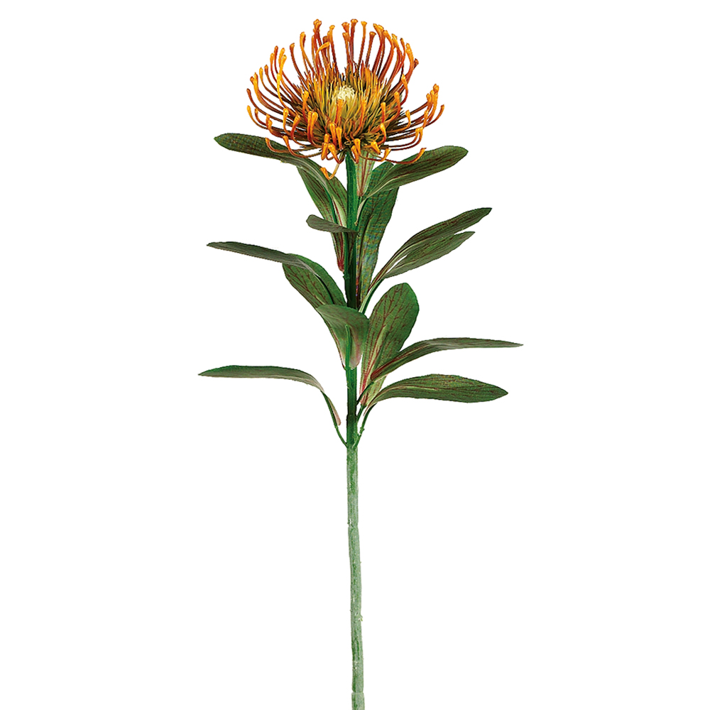 Protea Spray, Rust, 28in