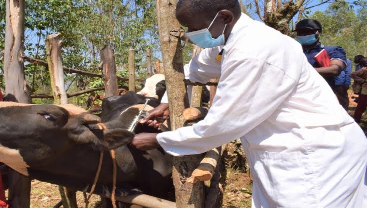 Animal Health Sector-Worldfrontng.com