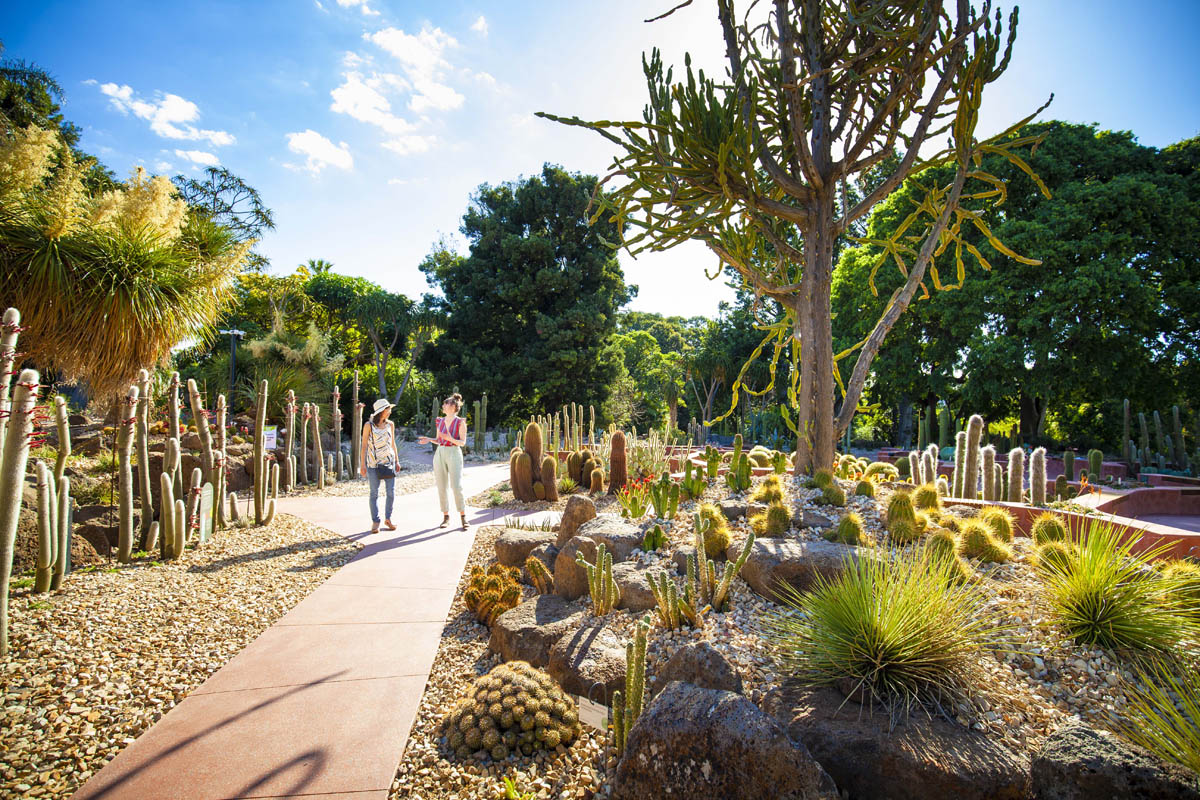 Royal botanic gardens victoria unveils garden for a future climate