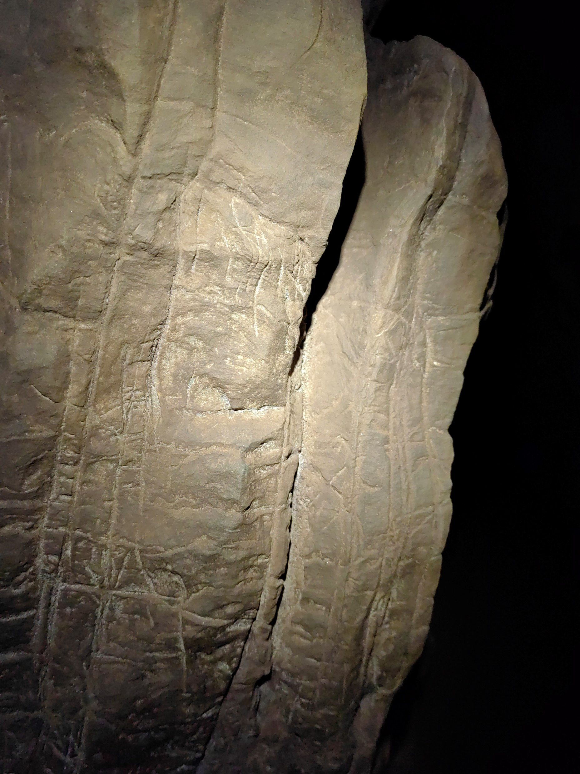 New discovery in south africa unearths a new chapter in human evolution