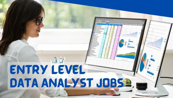 Entry Level Data Analyst Jobs