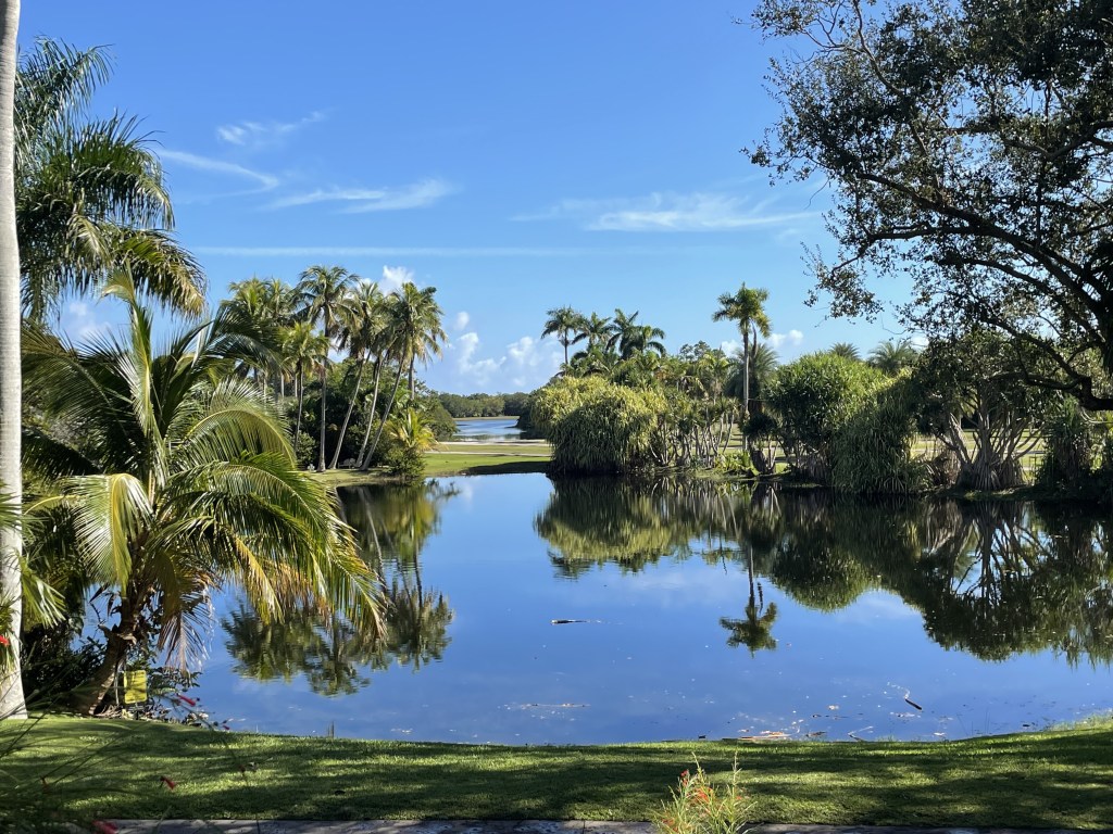 Palm trees and a calm lake at a Miami tropical garden.