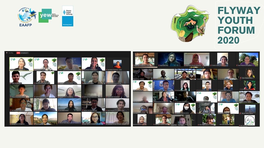 Logos and screenshot of many online participants