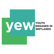 Logo saying YEW, Youth Engaged in Wetlands