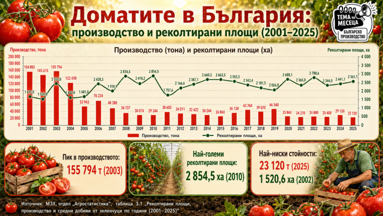 Българският домат изчезва от полето: Вносът вече държи половината пазар